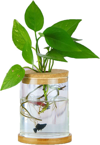 Mini vase glasfläschchen - mini,